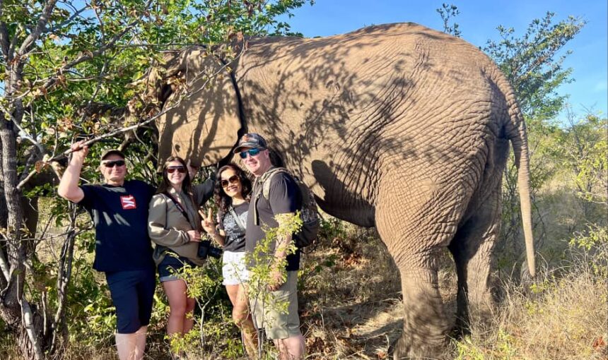 Elephant Experience/Vicfalls